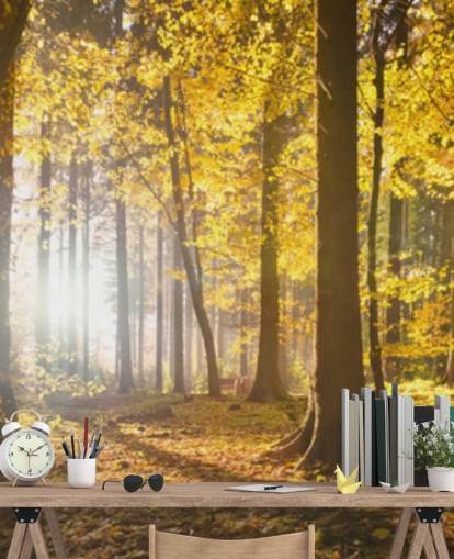 mural de papel pintado de bosque brillante llamado Bright Forest Sunlight para dormitorios, oficinas y comedores