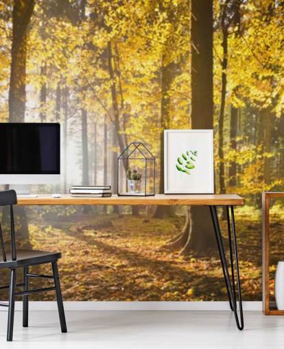 kirkas metsätaustakuvamaalaus nimeltä Bright Forest Sunlight makuuhuoneisiin, toimistoihin ja ruokasaleihin