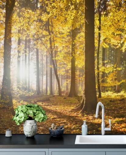 mural de papel pintado de bosque brillante llamado Bright Forest Sunlight para dormitorios, oficinas y comedores