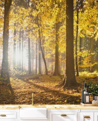 Helles Waldtapeten-Wandbild namens Bright Forest Sunlight für Schlafzimmer, Büros und Esszimmer