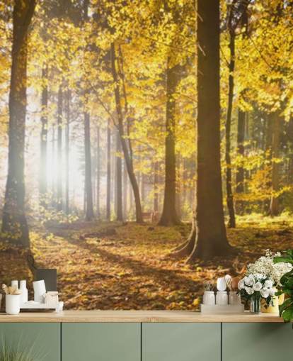 bright forest wallpaper mural called Bright Forest Sunlight for bedrooms, offices and dining rooms