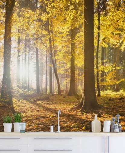 carta da parati murale Bright Forest Sunlight per camere da letto, uffici e sale da pranzo