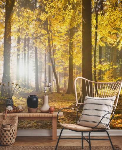 lyst skov tapet vægmaleri kaldet Bright Forest Sunlight til soveværelser, kontorer og spisestuer lyst skov tapet vægmaleri kaldet Bright Forest Sunlight til soveværelser, kontorer og spisestuer