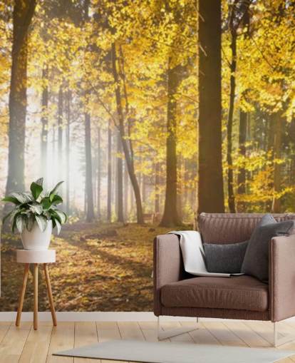 kirkas metsätaustakuvamaalaus nimeltä Bright Forest Sunlight makuuhuoneisiin, toimistoihin ja ruokasaleihin