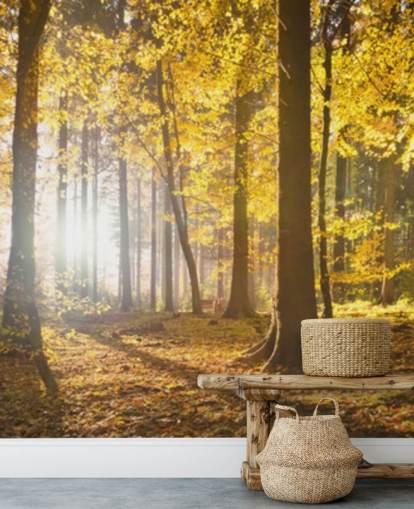 mural de papel pintado de bosque brillante llamado Bright Forest Sunlight para dormitorios, oficinas y comedores mural de papel pintado de bosque brillante llamado Bright Forest Sunlight para dormitorios, oficinas y comedores