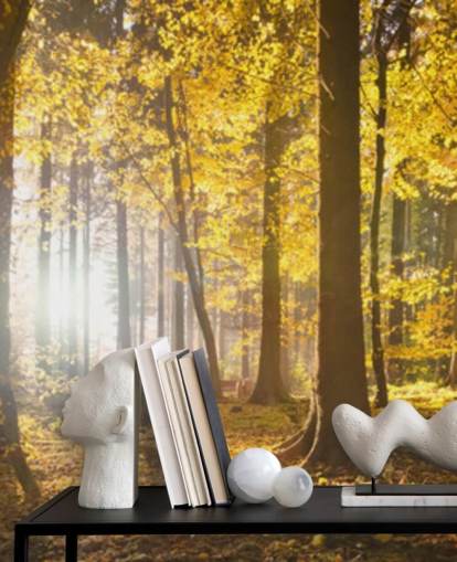 mural de papel pintado de bosque brillante llamado Bright Forest Sunlight para dormitorios, oficinas y comedores