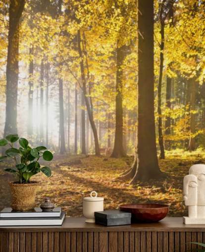 mural de papel pintado de bosque brillante llamado Bright Forest Sunlight para dormitorios, oficinas y comedores