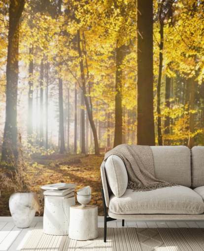 heldere bosbehangmuurschildering genaamd Bright Forest Sunlight voor slaapkamers, kantoren en eetkamers