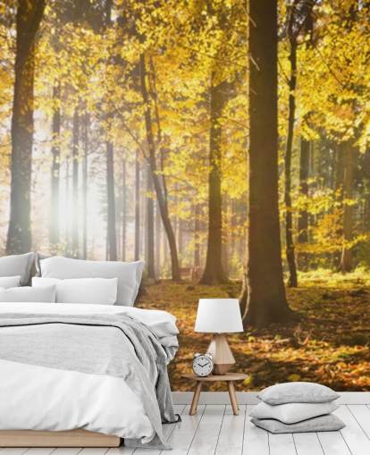 mural de papel pintado de bosque brillante llamado Bright Forest Sunlight para dormitorios, oficinas y comedores