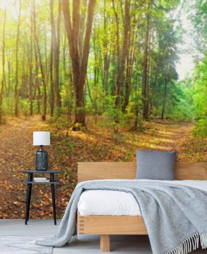 Papel de Parede Mural Sunny Day Forest Panorama Papel de Parede Mural Sunny Day Forest Panorama