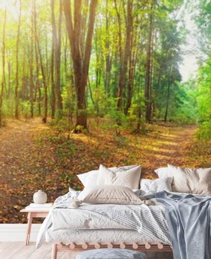 Sunny Day Forest Panorama Wall Mural Wallpaper