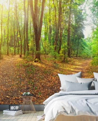 Sunny Day Forest Panorama Wall Mural Wallpaper Sunny Day Forest Panorama Wall Mural Wallpaper