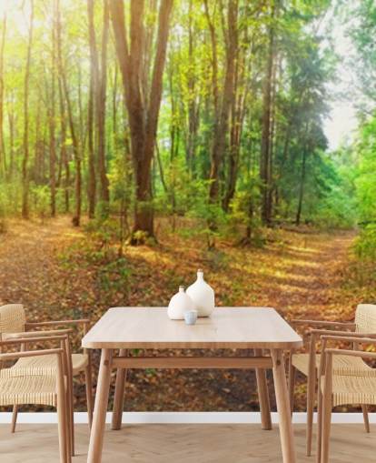 Papel de Parede Mural Sunny Day Forest Panorama Papel de Parede Mural Sunny Day Forest Panorama