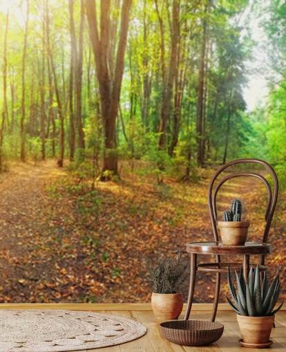 Sunny Day Forest Panorama Wall Mural Wallpaper