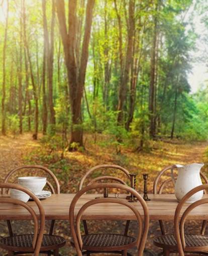 Sunny Day Forest Panorama Wall Mural Wallpaper