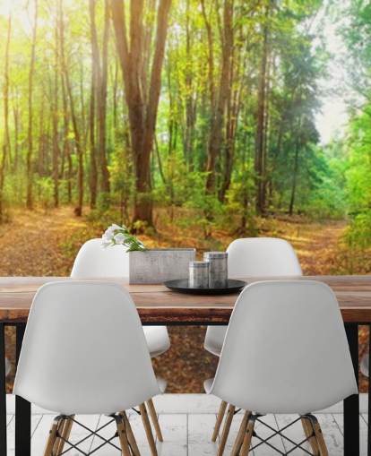 Sonniger Tag Wald Panorama Fototapete Sonniger Tag Wald Panorama Fototapete