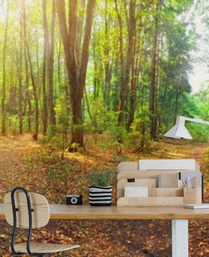 Sunny Day Forest Panorama Wall Mural Wallpaper