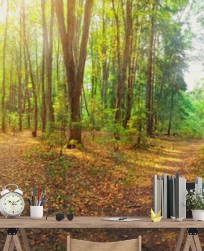 Sunny Day Forest Panorama Wall Mural Wallpaper