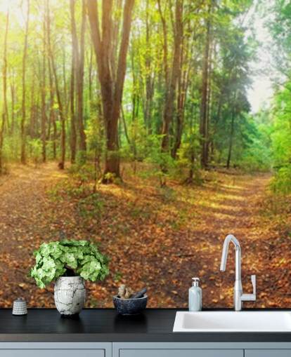 Sunny Day Forest Panorama Wall Mural Wallpaper Sunny Day Forest Panorama Wall Mural Wallpaper