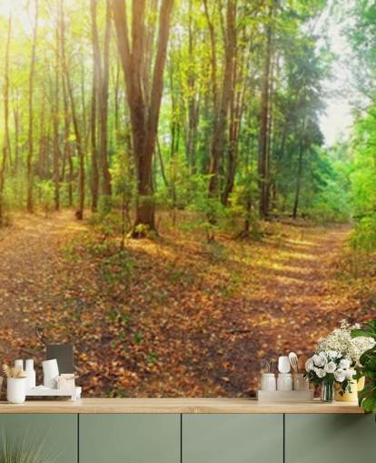 Papel de Parede Mural Sunny Day Forest Panorama