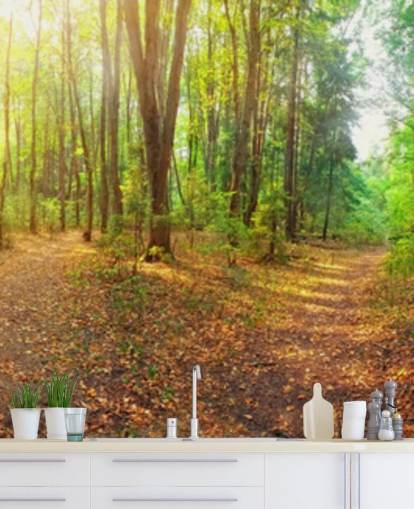 Sunny Day Forest Panorama Wall Mural Wallpaper