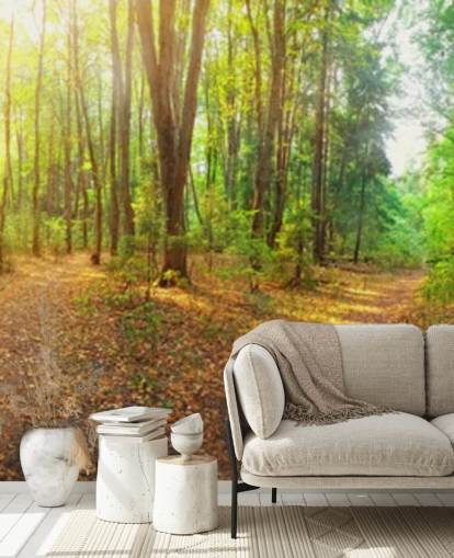 Solig dag skog Panorama väggmålning Bakgrund Solig dag skog Panorama väggmålning Bakgrund