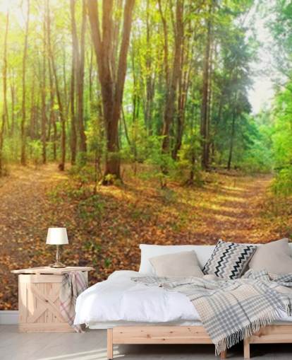 Sunny Day Forest Panorama Muurschildering Behang