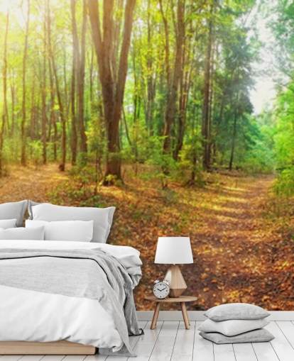 Sunny Day Forest Panorama Wall Mural Wallpaper