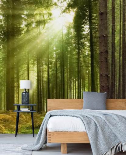 green customizable forest wallpaper called Panoramic Woodland for bedrooms