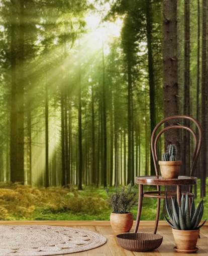 green customizable forest wallpaper called Panoramic Woodland for bedrooms