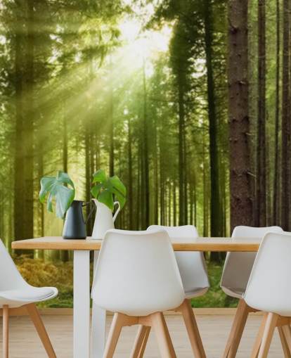 grüne anpassbare Waldtapete namens Panoramic Woodland für Schlafzimmer