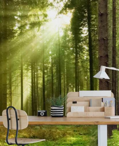 groen aanpasbaar bosbehang genaamd Panoramic Woodland voor slaapkamers