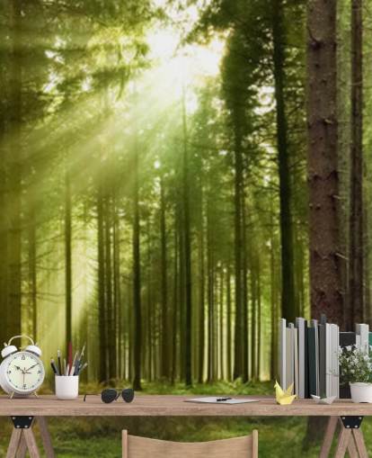 green customizable forest wallpaper called Panoramic Woodland for bedrooms