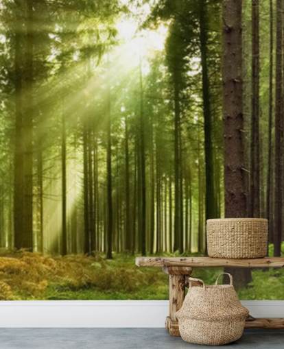 papel pintado verde personalizable llamado Panoramic Woodland para dormitorios