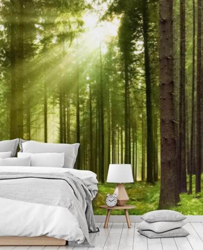 papel de parede florestal verde personalizável chamado Panoramic Woodland para quartos