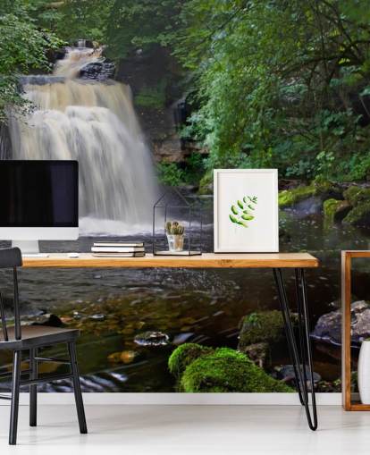 Carta da parati Secret Woodland Waterfall