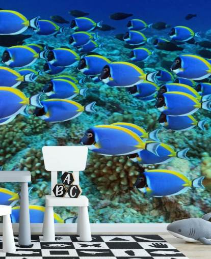 Fish Wallpaper Fish Wallpaper