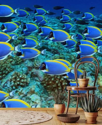 Carta da parati pesce