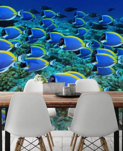 Papel Pintado Pez