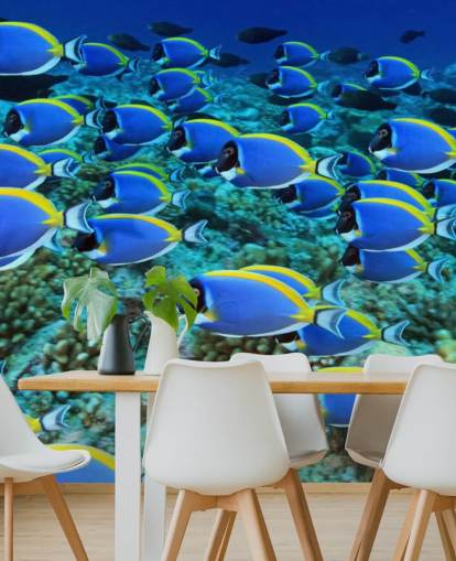 Carta da parati pesce
