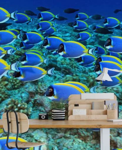 Papel Pintado Pez