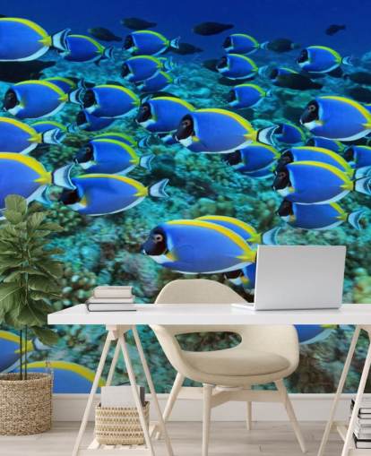 Papel de parede peixe
