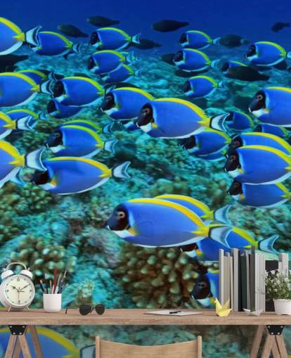Fisk Baggrund