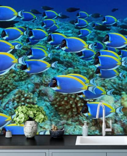 Carta da parati pesce
