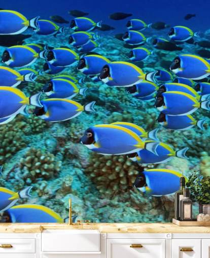 Papel de parede peixe