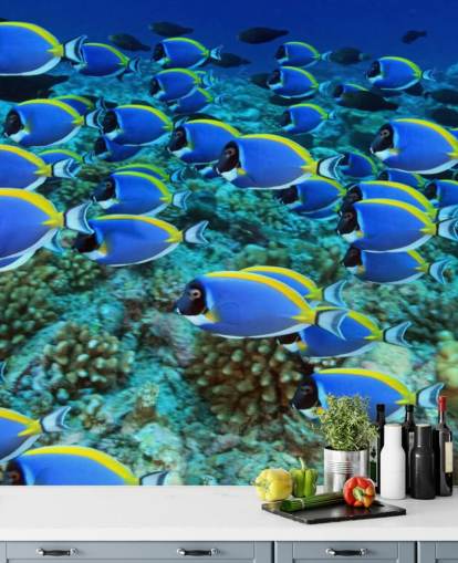 Fisch-Tapete Fisch-Tapete