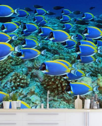 Carta da parati pesce