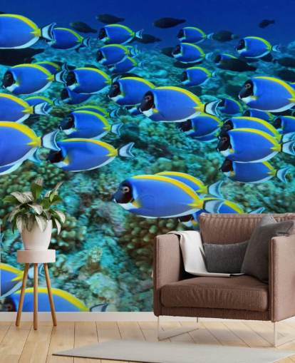 Papel de parede peixe