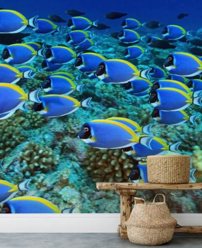 Fish behang Fish behang