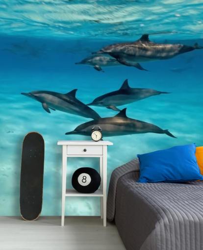 Mural de pared Cápsula de delfines bajo